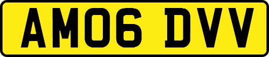 AM06DVV