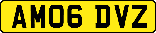 AM06DVZ