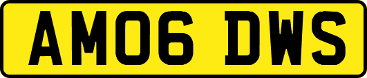 AM06DWS