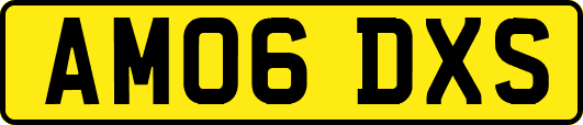AM06DXS