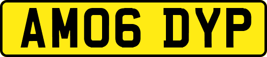 AM06DYP