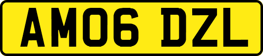 AM06DZL