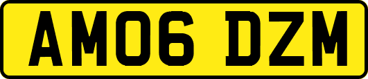 AM06DZM