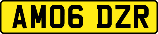 AM06DZR