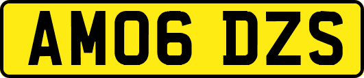 AM06DZS