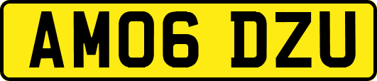 AM06DZU