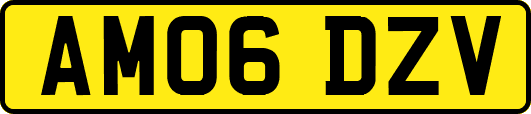 AM06DZV