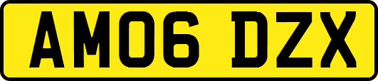 AM06DZX