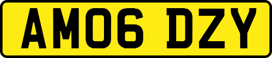 AM06DZY