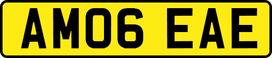 AM06EAE
