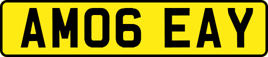 AM06EAY