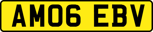 AM06EBV