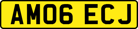 AM06ECJ