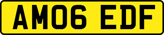 AM06EDF