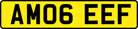 AM06EEF
