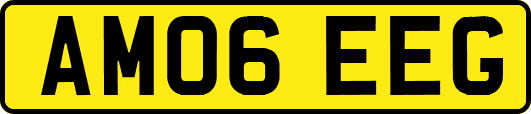 AM06EEG