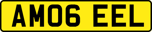 AM06EEL