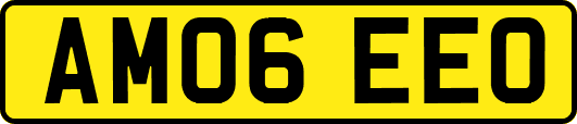 AM06EEO