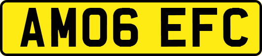 AM06EFC