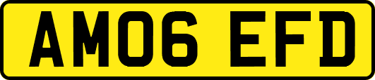 AM06EFD