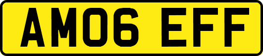 AM06EFF