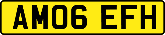 AM06EFH