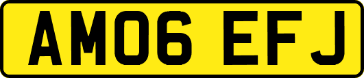 AM06EFJ