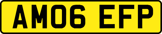 AM06EFP