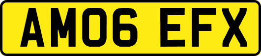 AM06EFX