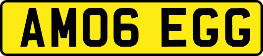 AM06EGG