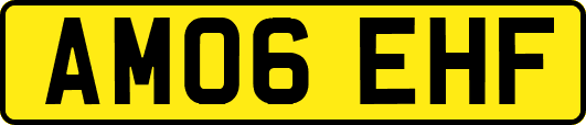 AM06EHF