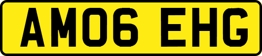 AM06EHG