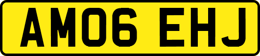 AM06EHJ