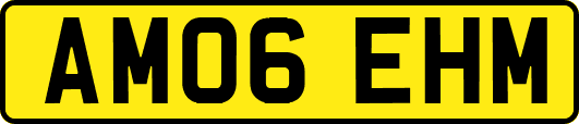 AM06EHM