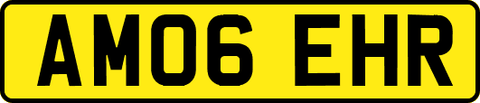 AM06EHR