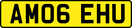 AM06EHU