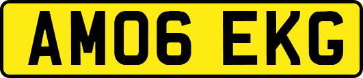 AM06EKG
