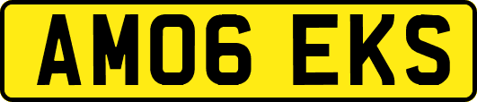 AM06EKS
