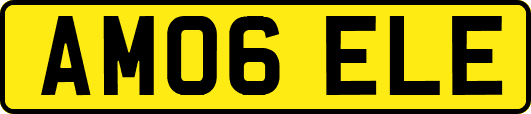 AM06ELE
