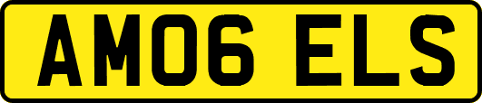 AM06ELS