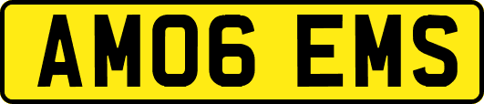 AM06EMS