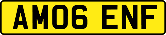 AM06ENF
