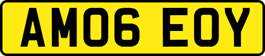 AM06EOY