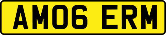 AM06ERM