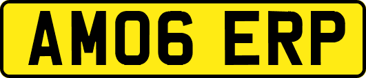 AM06ERP