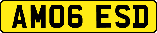 AM06ESD