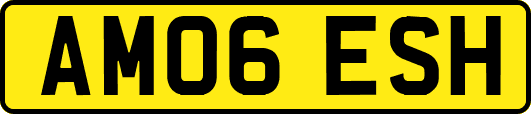 AM06ESH