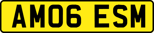 AM06ESM