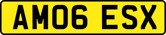 AM06ESX