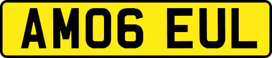 AM06EUL